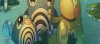 Pokémon: Master of the Rain Team
